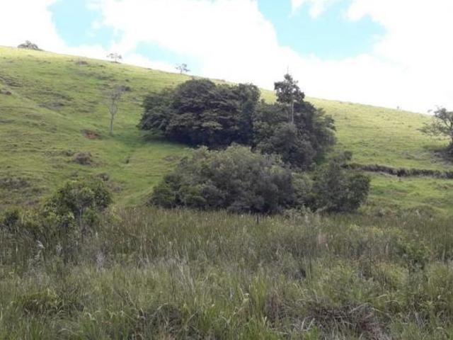 Fazenda para venda em Centro, Conceição do Rio Verde