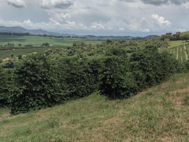 Fazenda para venda em Centro, Conceição do Rio Verde