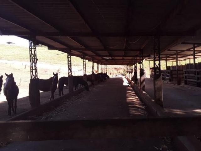 Fazenda para venda em Centro, Conceição do Rio Verde