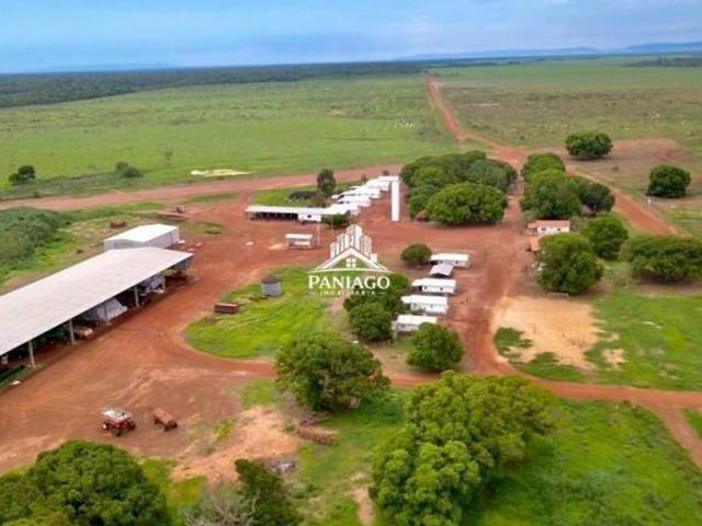 Fazenda para venda em Centro, Confresa