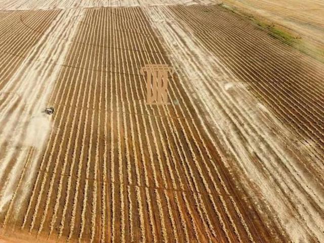 Fazenda para venda em Centro, Cristalina