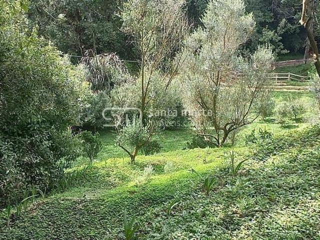 Fazenda para venda em Centro, Delfim Moreira