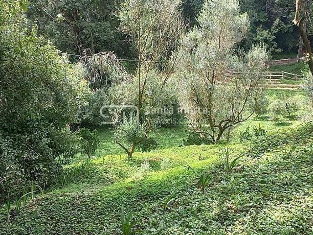 Fazenda para venda em Centro, Delfim Moreira