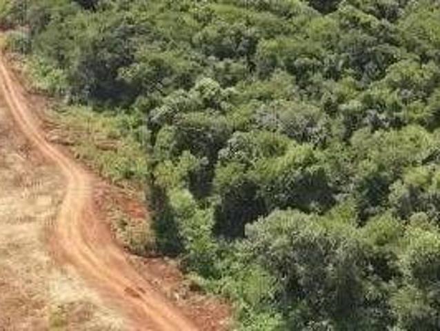 Fazenda para venda em Centro, Diamante do Sul