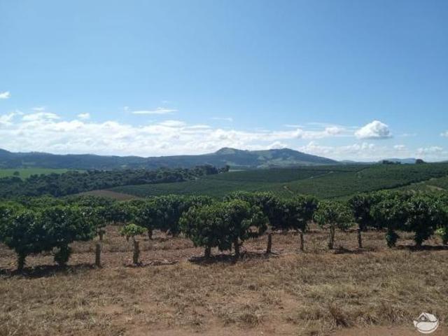 Fazenda para venda em Centro, Divisa Nova