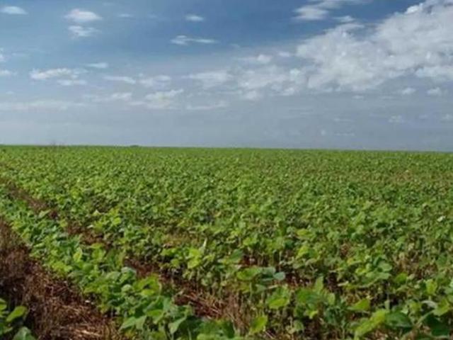 Fazenda para venda em Centro, Dois Vizinhos