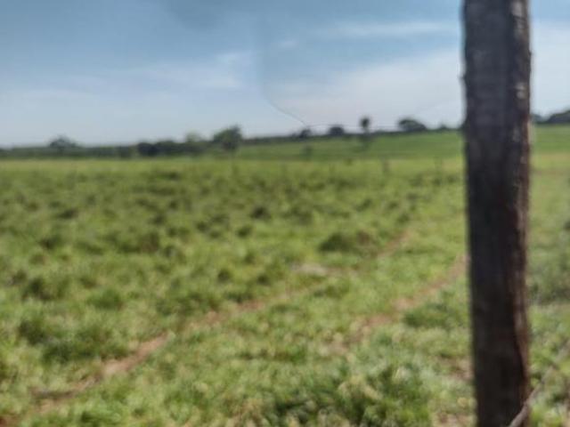 Fazenda para venda em Centro, Dolcinópolis