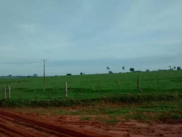 Fazenda para venda em Centro, Euclides da Cunha Paulista