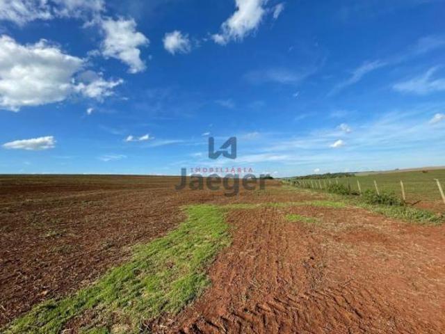Fazenda para venda em Centro, Eugênio de Castro