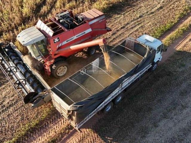 Fazenda para venda em Centro, Echaporã