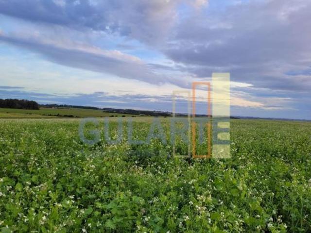 Fazenda para venda em Centro, Eldorado do Sul