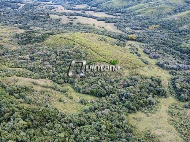 Fazenda para venda em Centro, Encruzilhada do Sul