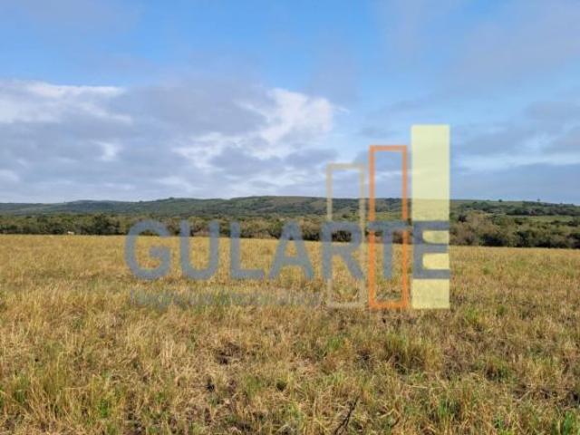 Fazenda para venda em Centro, Encruzilhada do Sul