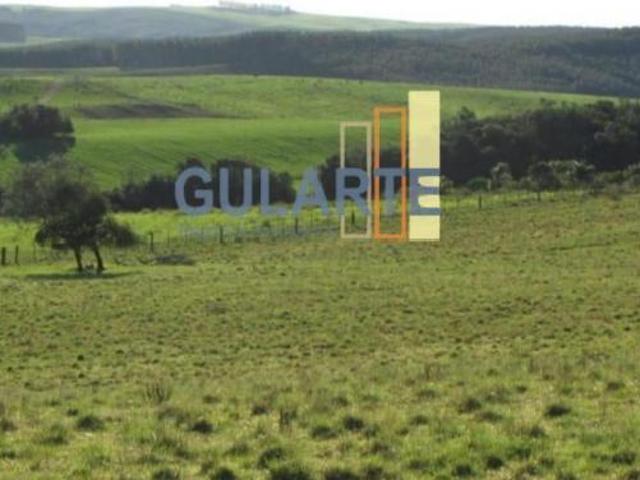 Fazenda para venda em Centro, Encruzilhada do Sul