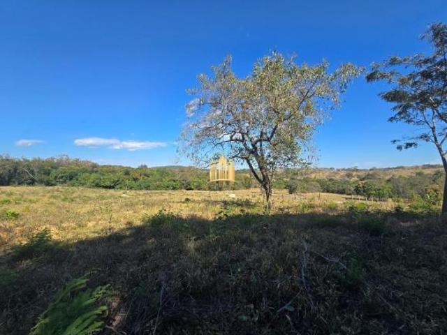 Fazenda para venda em Centro, Esmeraldas