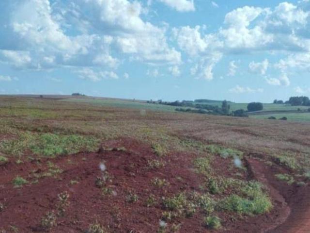 Fazenda para venda em Centro, Farol