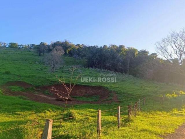 Fazenda para venda em Centro, Faxinal