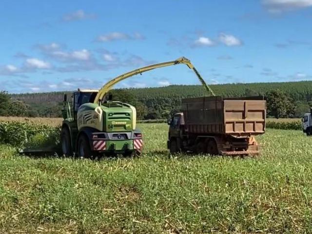 Fazenda para venda em Centro, Felixlândia