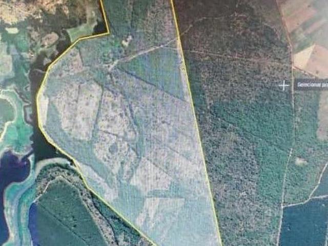 Fazenda para venda em Centro, Felixlândia
