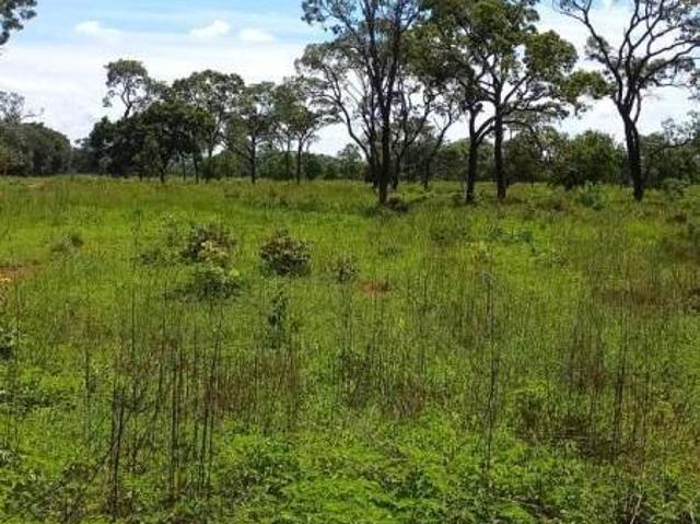 Fazenda para venda em Centro, Felixlândia