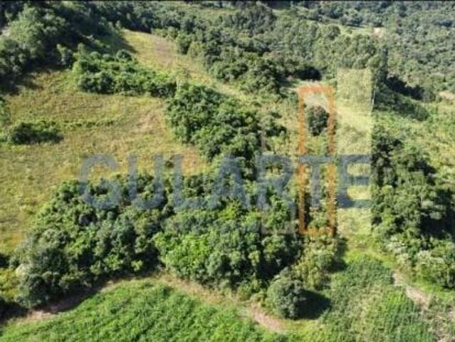 Fazenda para venda em Centro, Fontoura Xavier