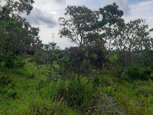 Fazenda para venda em Centro, Formiga