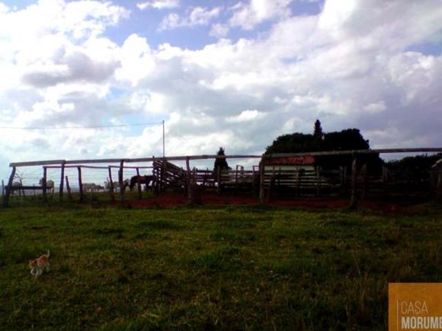 Fazenda para venda em Centro, Fronteira