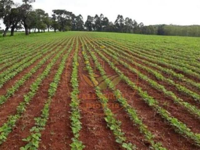 Fazenda para venda em Centro, Guapé