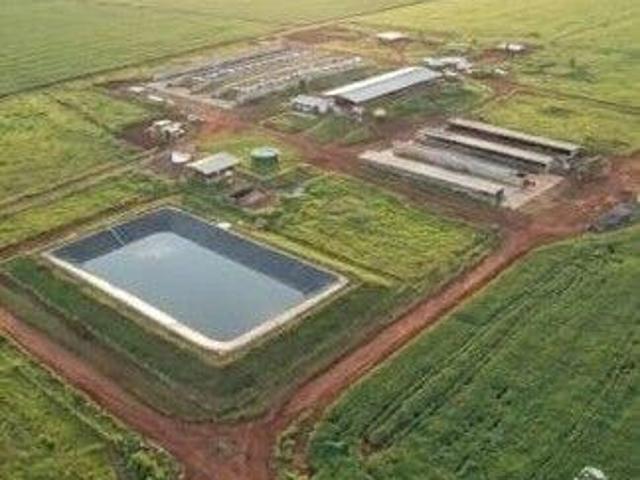 Fazenda para venda em Centro, Guaraniaçu