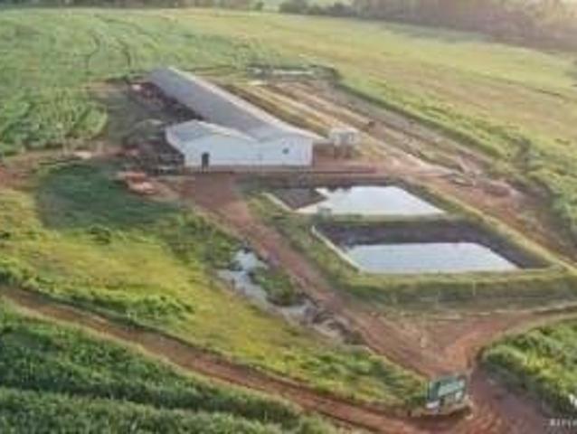 Fazenda para venda em Centro, Guaraniaçu