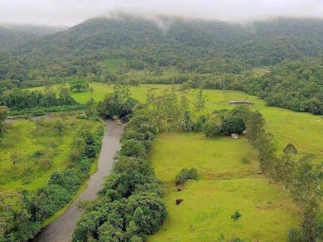 Fazenda para venda em Centro, Guaraqueçaba