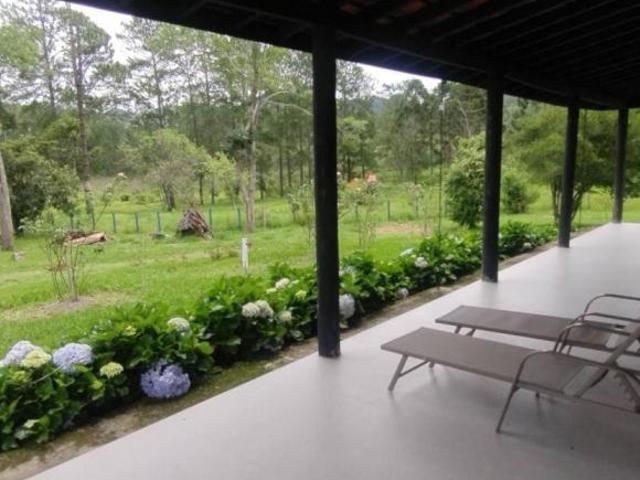 Fazenda para venda em Centro, Guaratinguetá