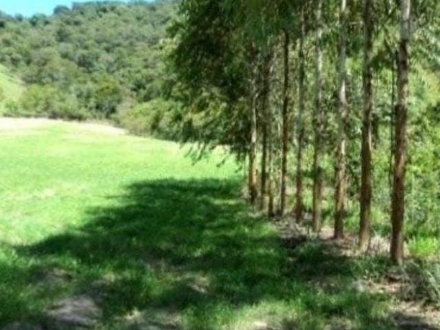 Fazenda para venda em Centro, Guaratinguetá