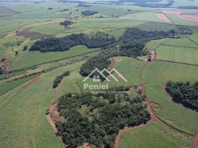 Fazenda para venda em Centro, Guatapará