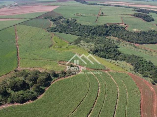 Fazenda para venda em Centro, Guatapará