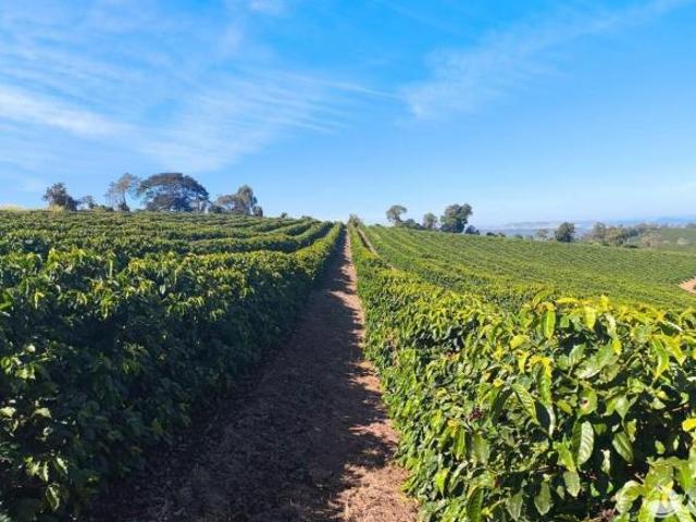 Fazenda para venda em Centro, Guaxupé