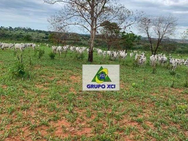 Fazenda para venda em Centro, Guiratinga