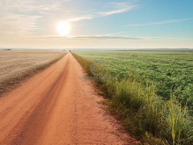 Fazenda para venda em Centro, Gaúcha do Norte