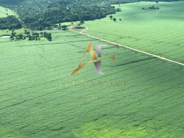 Fazenda para venda em Centro, Gaúcha do Norte