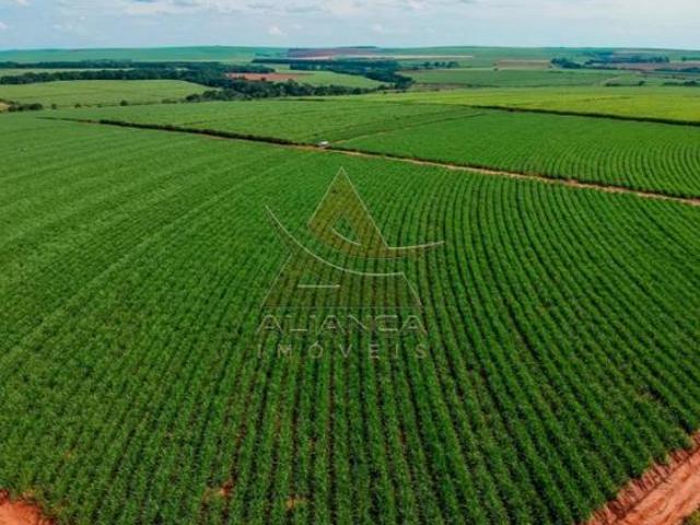 Fazenda para venda em Centro, Gavião Peixoto