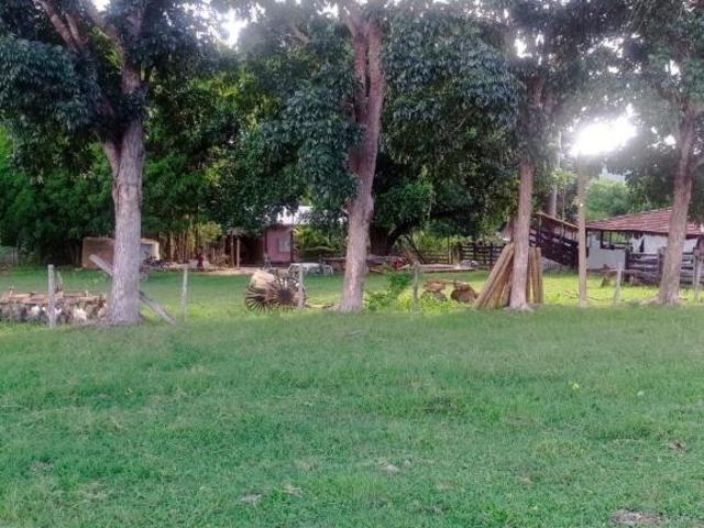 Fazenda para venda em Centro, Goiás