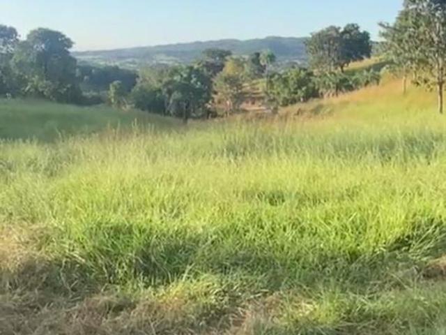 Fazenda para venda em Centro, Goiás