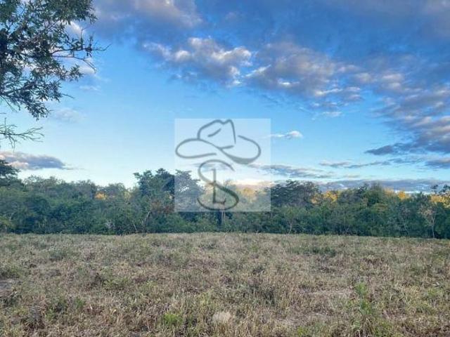 Fazenda para venda em Centro, Grão Mogol