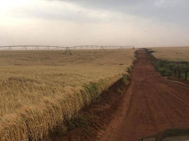 Fazenda para venda em Centro, Itaberá