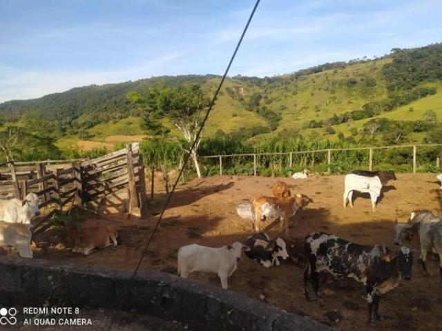 Fazenda para venda em Centro, Itaguara