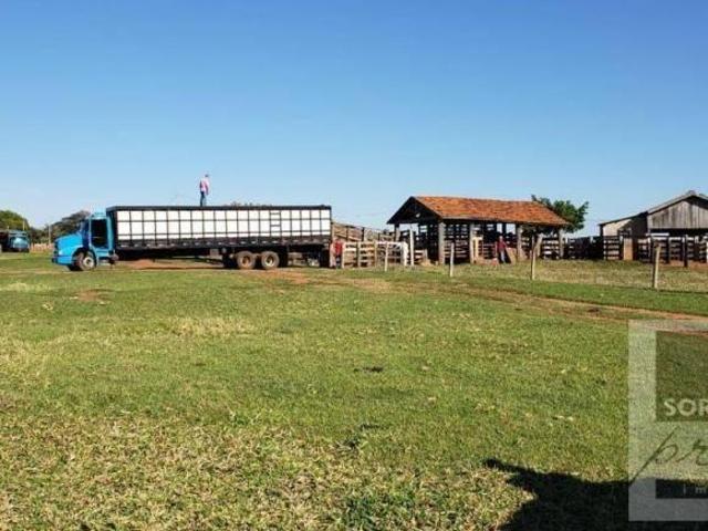Fazenda para venda em Centro, Itajobi
