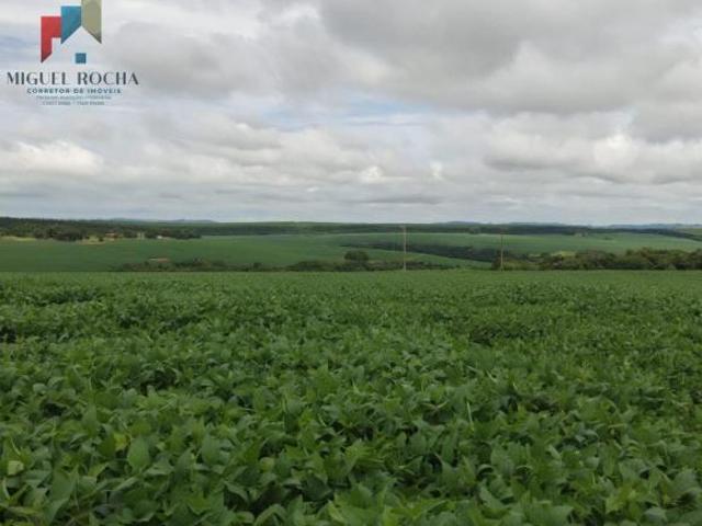 Fazenda para venda em Centro, Itapetininga