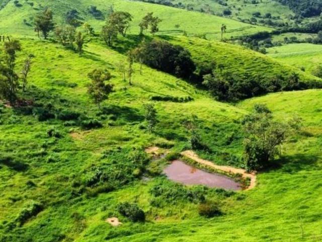 Fazenda para venda em Centro, Itapira