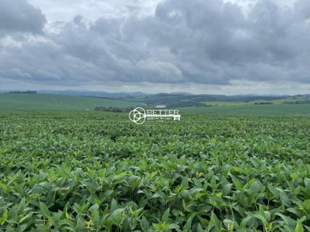 Fazenda para venda em Centro, Itaporanga