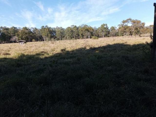 Fazenda para venda em Centro, Itirapina